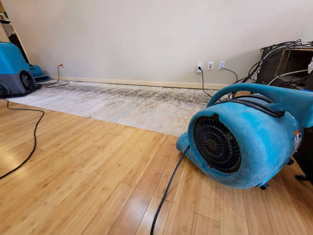 Reliable Basement Flood Cleanup contractor in Needham Heights, MA by Hirex Water Damage