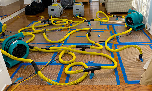 Professional Basement Flood Cleanup technician working in Needham Heights, MA